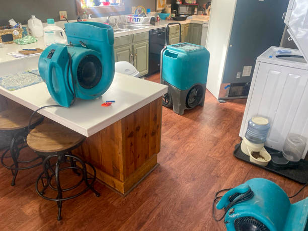 Best Water damage mitigation services  in Gratton, VA