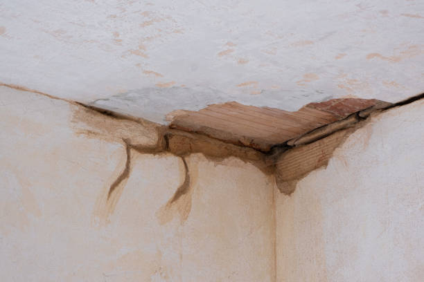 Carpet water damage restoration in Gratton, VA