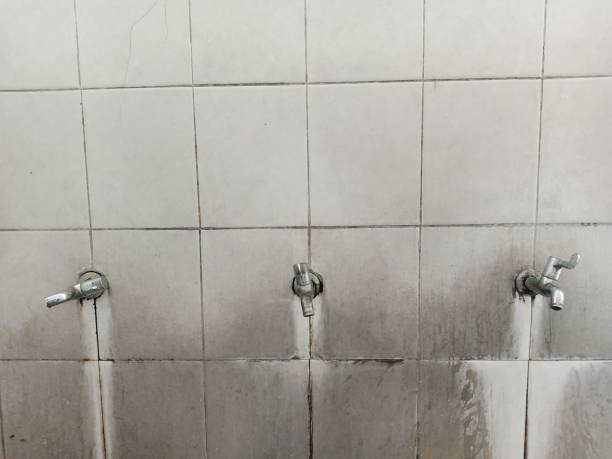 Best Local water damage restoration  in Gratton, VA